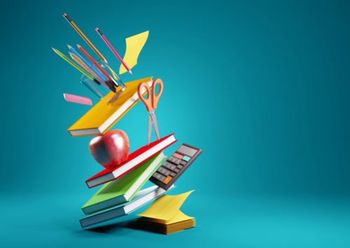 2021年非京籍子女在京接受義務教育入學指南 時間安排與信息采集詳解